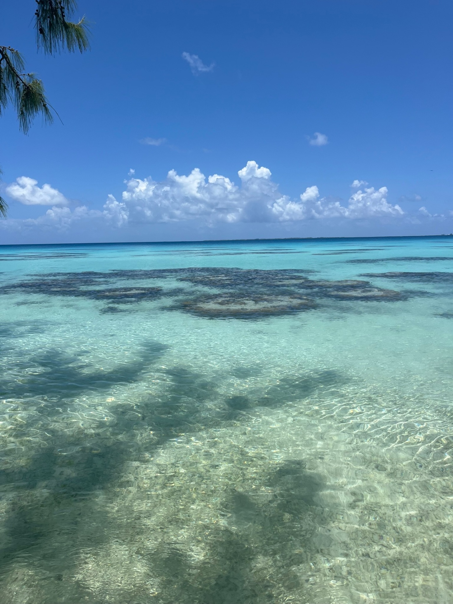Turquoise lagoon with coral heads under a bright sky