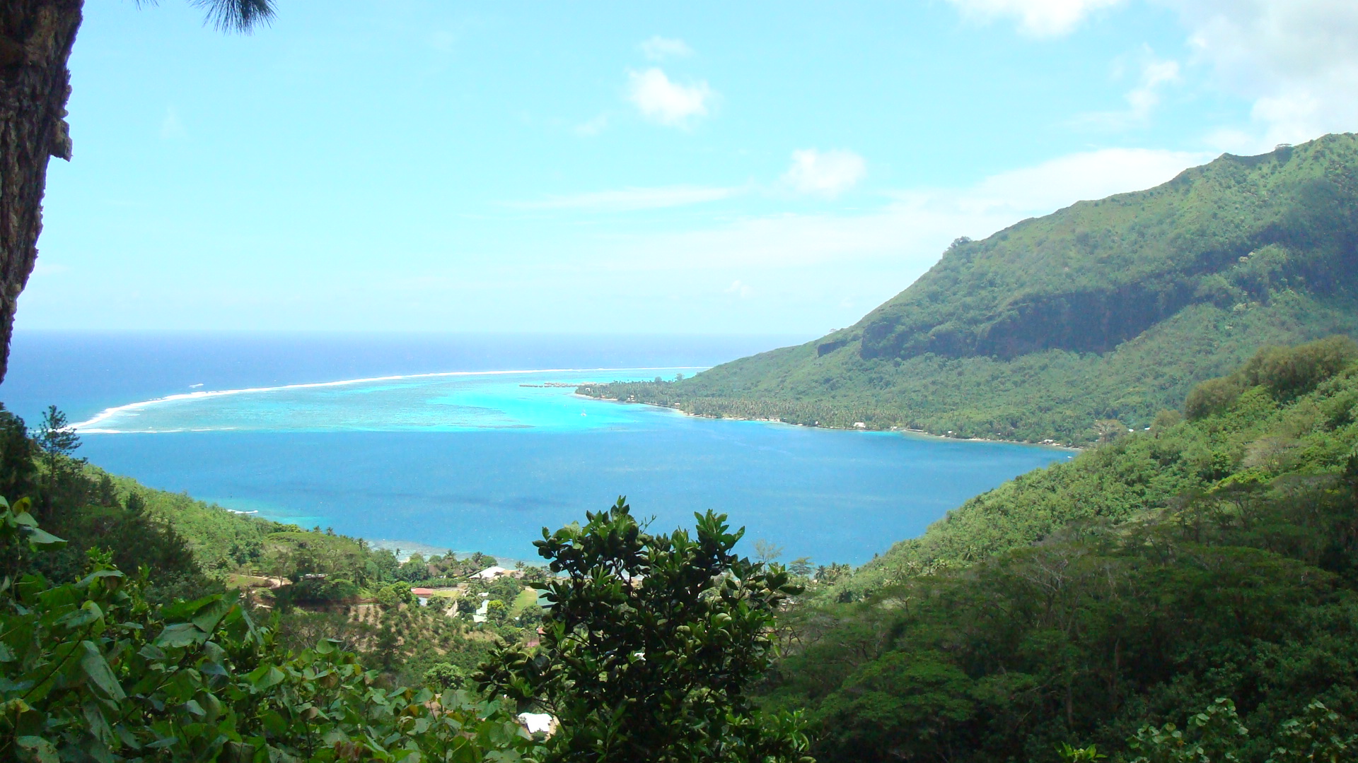 Moorea